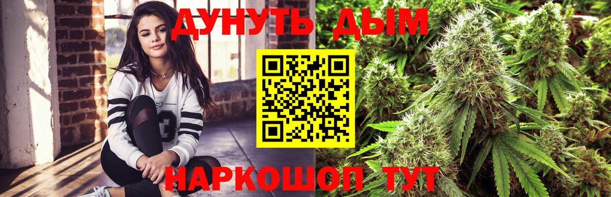 Каннабис White Widow Свободный
